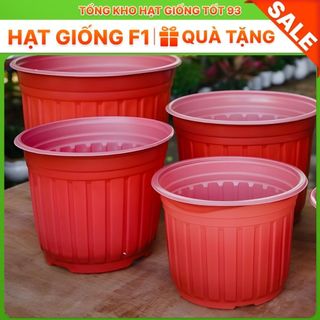 Chậu nhựa vành cứng 23x15 (nên mua từ 4 chậu gửi ko bị móp) Mix màu ngẫu nhiên