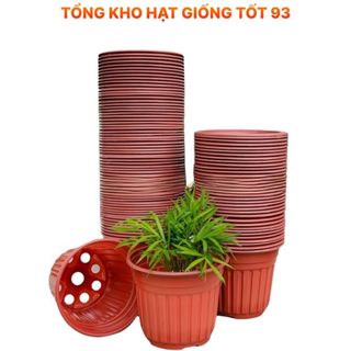 Chậu nhựa vành cứng 23x15 (nên mua từ 4 chậu gửi ko bị móp) Mix màu ngẫu nhiên