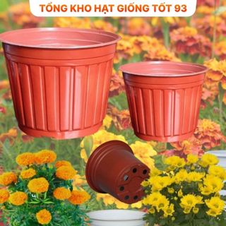 Chậu nhựa vành cứng 23x15 (nên mua từ 4 chậu gửi ko bị móp) Mix màu ngẫu nhiên