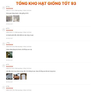 Chậu nhựa trồng hoa (kích thước 20x15cm, nên mua từ 5 chậu gửi ko bị móp) shop lấy màu ngẫu nhiên Loại 1