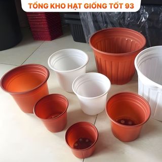Chậu nhựa vành cứng 23x15 (nên mua từ 4 chậu gửi ko bị móp) Mix màu ngẫu nhiên