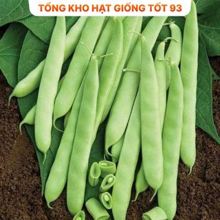 Hạt giống đậu F1 cực dễ trồng năng suất cao - hàng công ty Loại 1