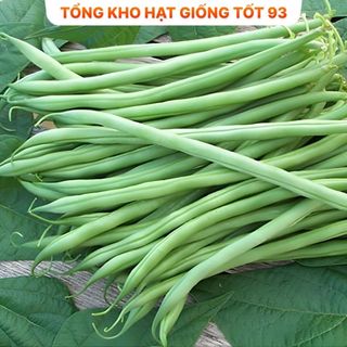 Hạt giống Đậu Cove Bụi Xanh  hàng công ty loại 1