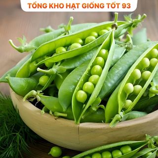 Hạt giống Đậu Hà Lan siêu quả ăn rất ngon, dễ trồng