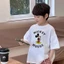 Áo phông ngắn tay, áo phông in 3d ,áo thun bé trai bé gái chất liệu cotton mềm mịn thoải mái dành cho bé 10kg-30kg