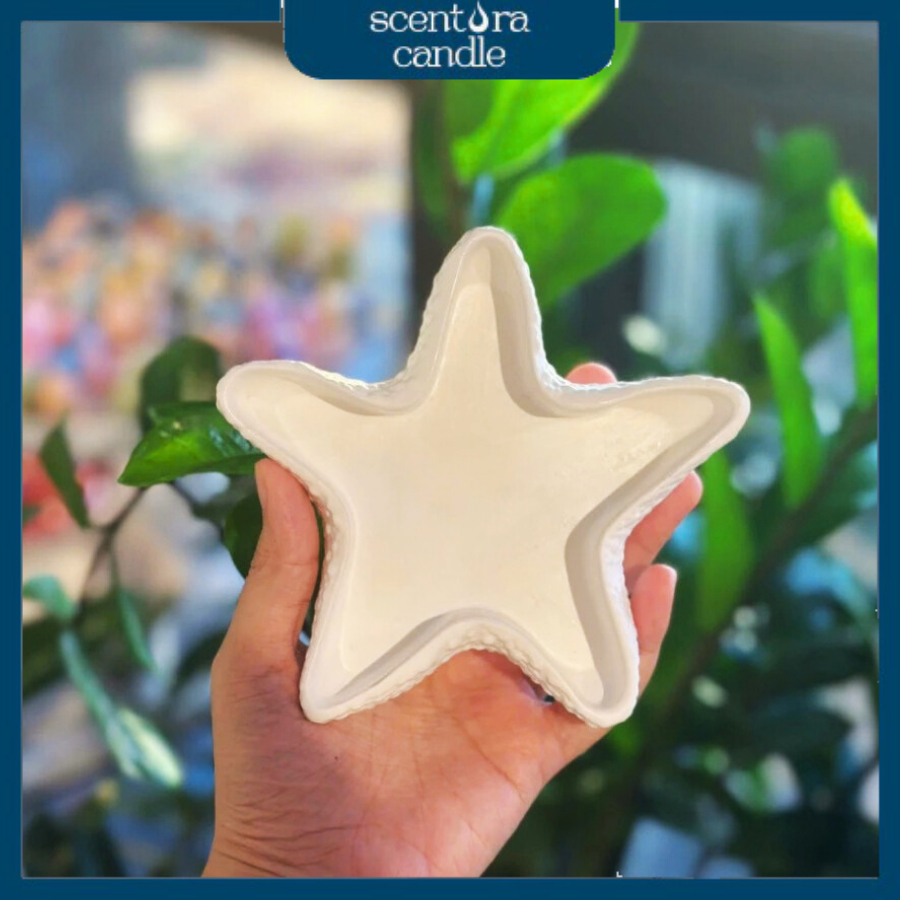 Vỏ ốc thạch cao làm nến ScentoraCandle, đựng phụ kiện, trang trí, decor chụp hình