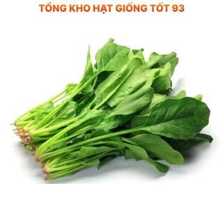 Hạt giống cải bó xôi dễ lên mầm Hàng công ty loại 1