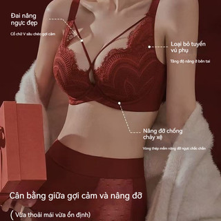 Áo Ngực Cho Ngực Đầy Đặn - Thiết Kế Ôm Phụ, Kiểu Dáng Thanh Lịch, Mỏng Nhẹ Mùa Hè