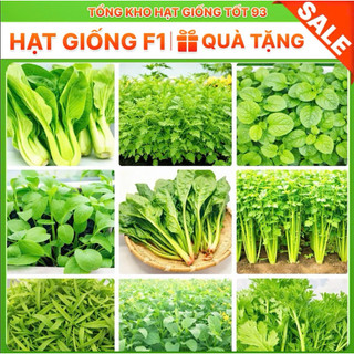 Hạt giống rau thơm, rau gia vị, rau củ quả các loại trồng ăn quanh năm nảy mầm tốt hàng công ty Loại 1