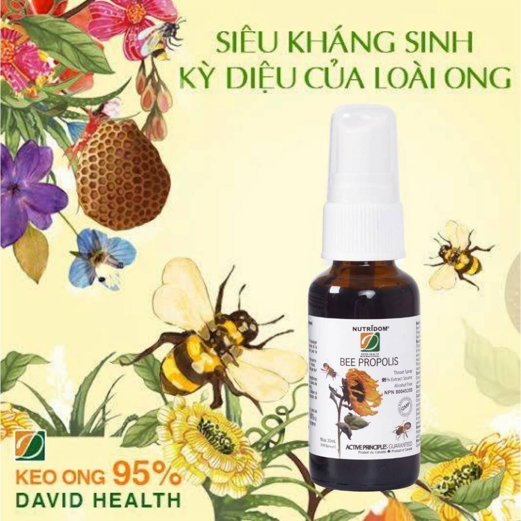 Xịt Họng Keo Ong Bee Propolis David Health, Hỗ Trợ Giảm Đau Họng, Dịu Các Cơn Ho, Ngừa Vi Khuẩn