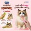Súp Thưởng Dạng Thìa Silver Spoon Đủ 6 Hương Vị