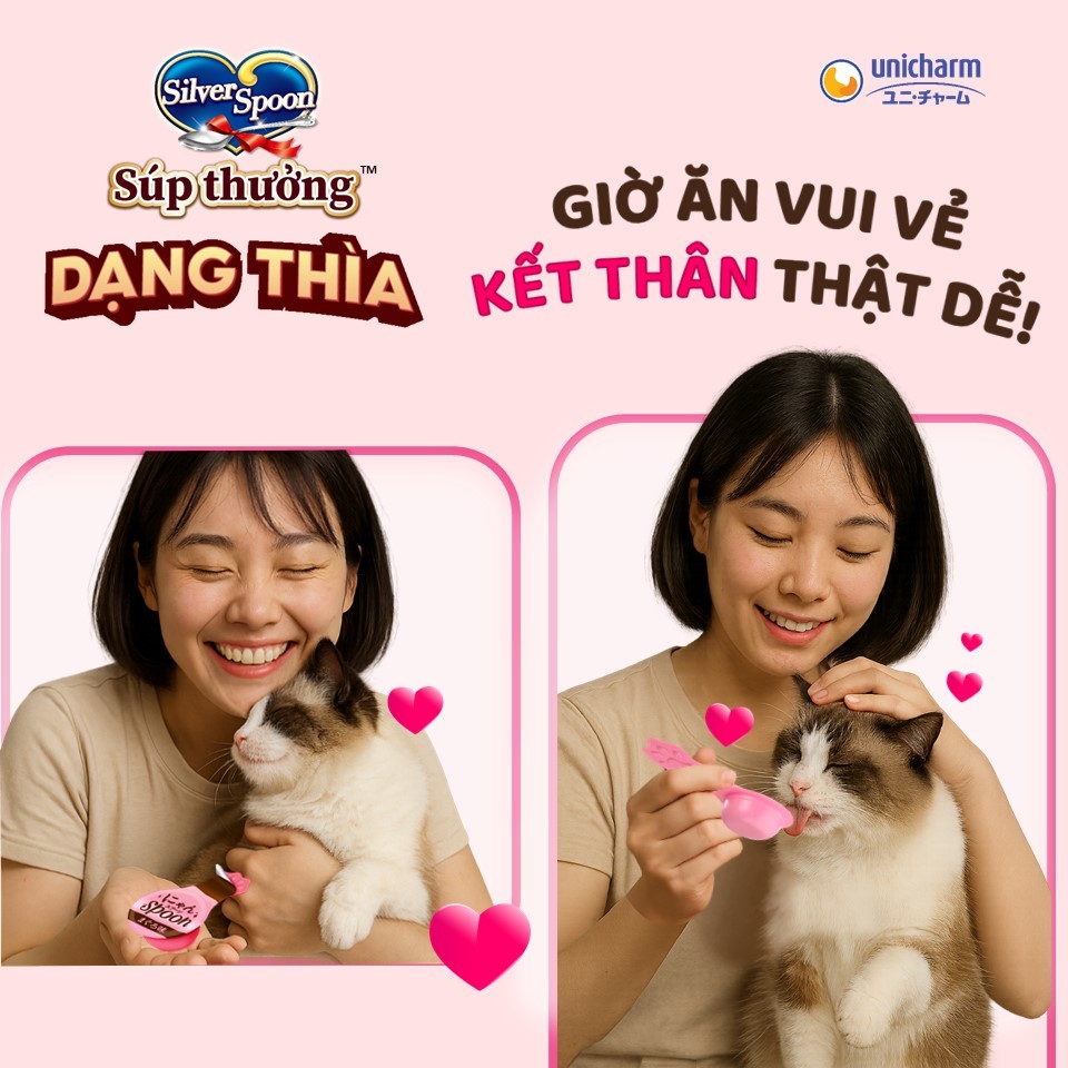 Súp Thưởng Dạng Thìa Silver Spoon Cho Mèo Unicharm Dạng Thìa Đủ 6 Hương Vị, Bổ Sung Vitamin Đề Kháng