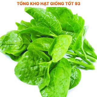 Hạt giống rau mồng tơi siêu lá to - hàng công ty Loại 1