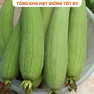 Hạt giống Mướp Hương cao sản 1gram - hàng công ty Loại 1
