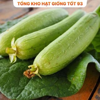 Hạt giống Mướp Hương cao sản 1gram - hàng công ty Loại 1