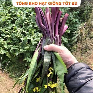 Hạt Giống Rau Cải NGỒNG TÍM Thu Hoạch Dược Nhiều Lần, Dễ Trồng, Rất Ngon, hàng công ty Loại 1