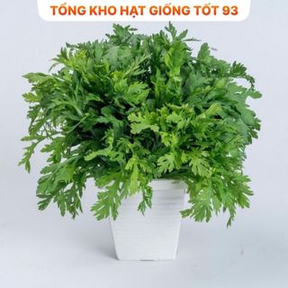 Hạt giống rau thơm, rau gia vị, rau củ quả các loại trồng quanh năm nảy mầm tốt (hàng F1)