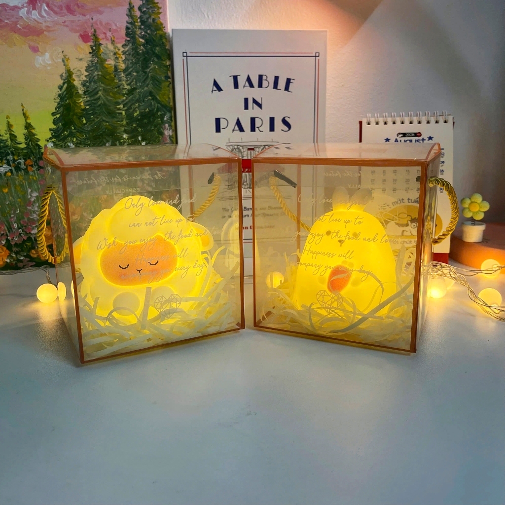 Bộ Quà Tặng Đèn Ngủ Trang Trí Kèm Hộp Quà Cho Sinh Nhật 8/3 20/10 1/6 Cute Mun Store S.DEN