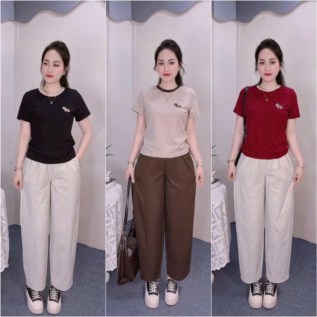2026. Sét bộ trơn cho nữ tag ngựa, Áo thun tag ngựa thêu + Quần baggy gân chất kaki mềm (40-70kg)