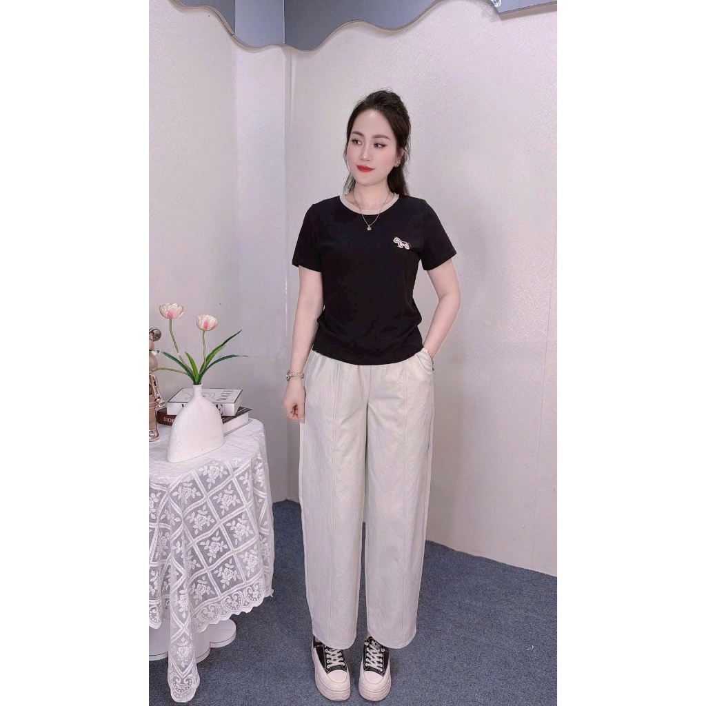 2026. Sét bộ trơn cho nữ tag ngựa, Áo thun tag ngựa thêu + Quần baggy gân chất kaki mềm (40-70kg)