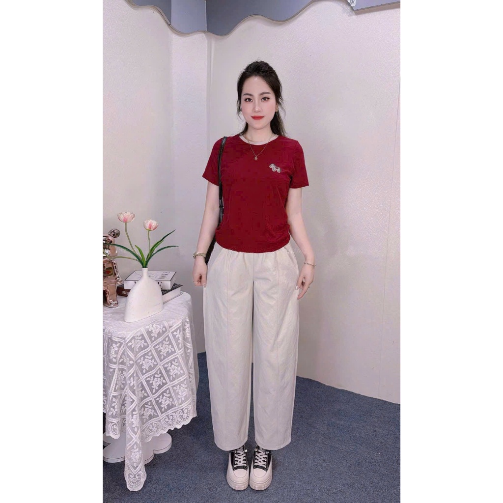 2026. Sét bộ trơn cho nữ tag ngựa, Áo thun tag ngựa thêu + Quần baggy gân chất kaki mềm (40-70kg)