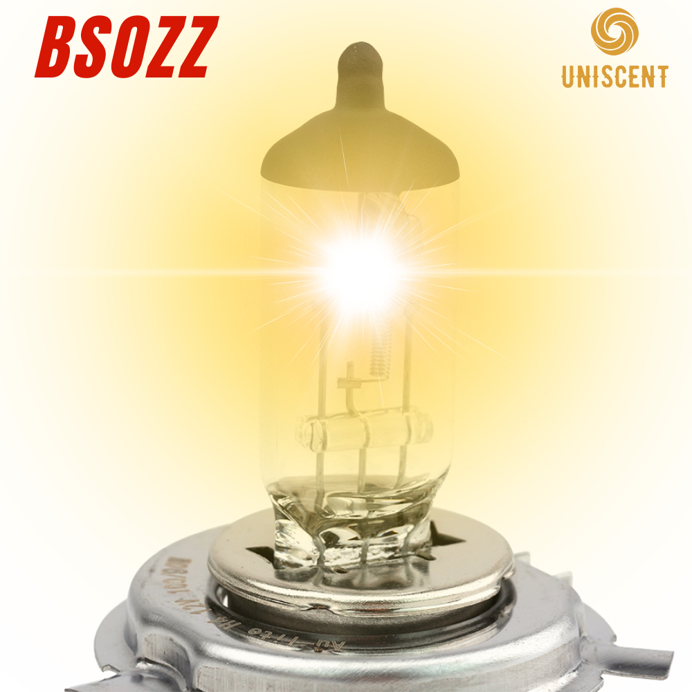 Bóng Đèn Halogen PX43T-12V-55/60W Piaggio Liberty-GTS-Vespa S (08–16)- BSOZZ Made In Thailand