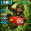 Sim Viettel Mệnh Mộc Năm Sinh 1980 Canh Thân Thạch Lưu Mộc, Sim Hợp Tuổi Hợp Mệnh Giá Rẻ [ĐKCC]