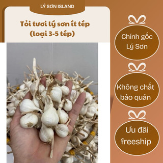 Tỏi Lý Sơn loại nhỏ 3-5 tép -chuẩn tỏi lý sơn - tỏi được lựa chọn kỹ-dễ bóc vỏ và rất thơm