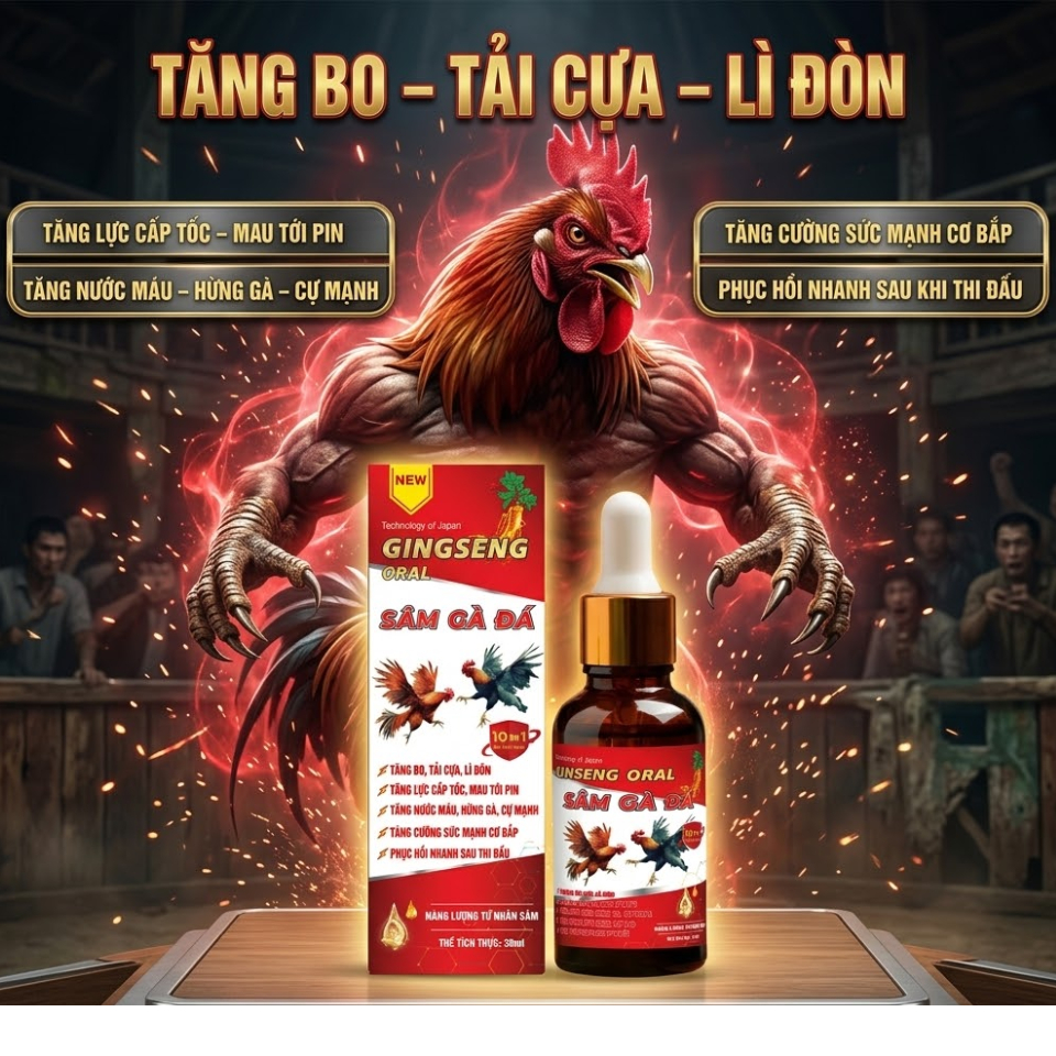 Sâm Nuôi Gà Đá Tăng Lực Chiến Kê, Giúp Gà Mau Lên Bo, Hừng Gà, Chống Stress Phục Hồi Nhanh