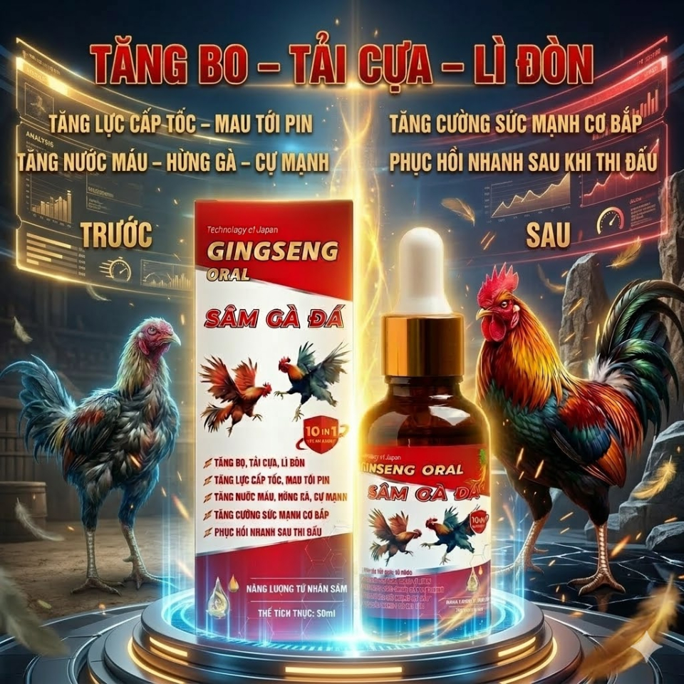 Sâm Nuôi Gà Đá Tăng Lực Chiến Kê, Giúp Gà Mau Lên Bo, Hừng Gà, Chống Stress Phục Hồi Nhanh