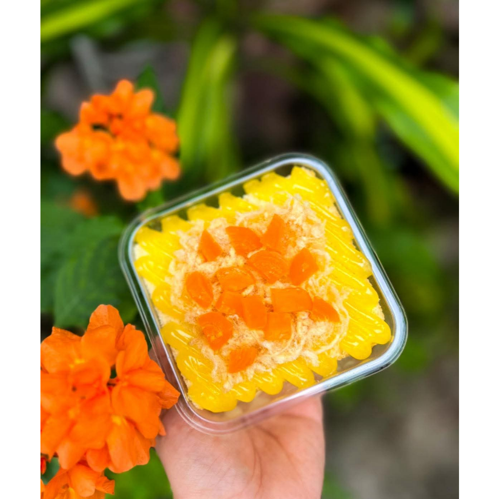 Combo 50 Hộp Nhựa Vuông Trong Suốt 400ml – Đựng Bánh Lạnh, Tiramisu, Mousse, Panna Cotta [JLH10-6]