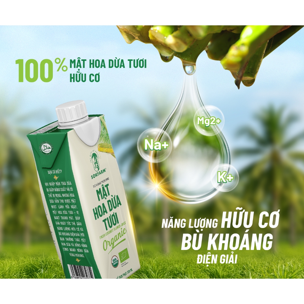Mật hoa dừa tươi Organic Sokfarm 330ml [Combo 6 Hộp Giấy/1 thùng] Tiệt Trùng UHT Bù Khoáng Điện Giải