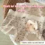 Quần lót nữ cotton cao cấp dáng boxer viền ren sang trọng gợi cảm co giãn linh hoạt LANXA L5918 -CB