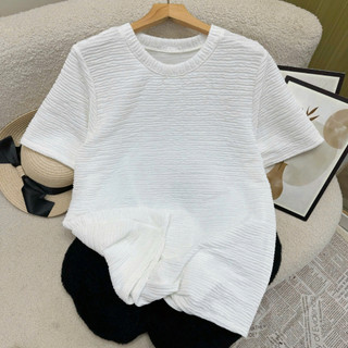 Áo Phông Tay Ngắn Bigsize Nữ Áo Tròn Form Rộng Vải Xốp Nhật Mặc Mát Co Giãn A314
