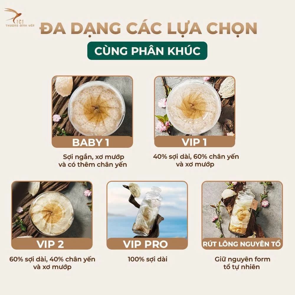 Tổ Yến Tinh Chế Sợi Vụn Baby