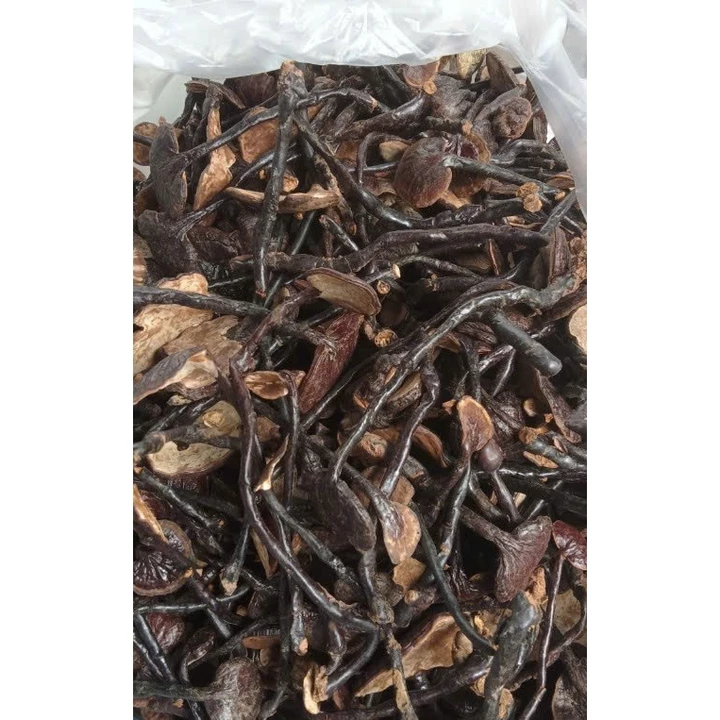 Nấm Linh Chi cổ cò đen (Hắc linh chi) rừng tự nhiên, 1kg, 500g, 200g.