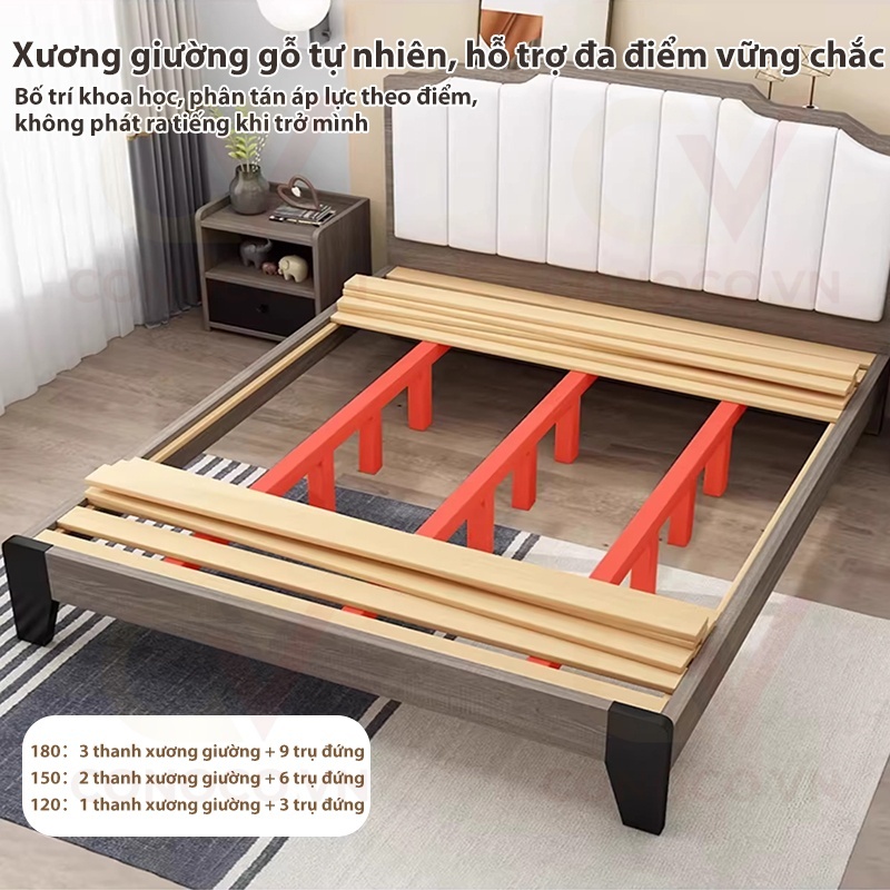 Giường ngủ hiện đại khung gỗ chắc chắn CONOCO tựa lưng bọc vải êm ái 1m8