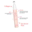 COMBO NÀNG THƠ dưỡng môi, lăng mắt, kem nâng tông [MUA 3 ĐƯỢC 4] - SKIN-07 | DAMDAVN