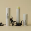 COMBO NÀNG THƠ dưỡng môi, lăng mắt, kem nâng tông [MUA 3 ĐƯỢC 4] - SKIN-07 | DAMDAVN