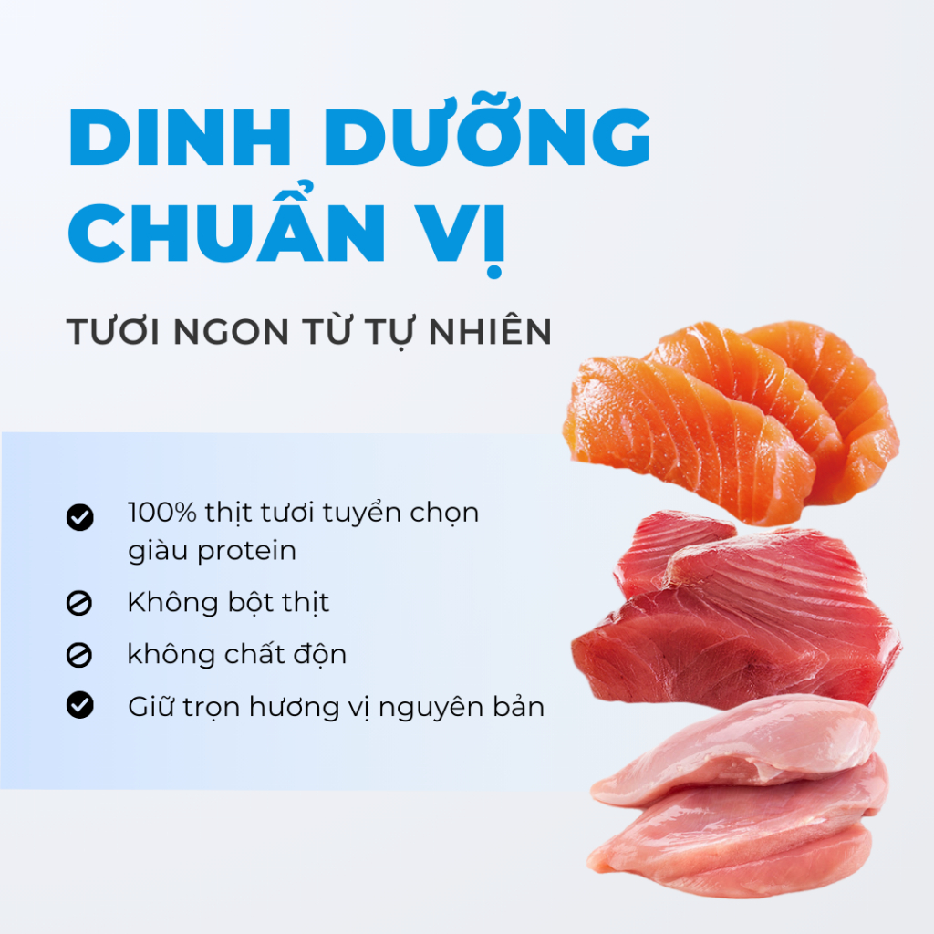 Pate Cho Mèo MRVET 1 Hộp 12 Gói 70G 51% Thịt, Bổ Sung Protein, Prebiotics, Taurine, Tăng Cường Sức Đề Kháng
