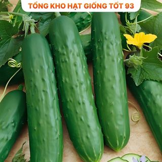 Hạt giống dưa chuột nếp Năng Suất cao Hàng Công ty loại 1