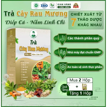 Trà Cây Rau Mương Diếp Cá Nấm Linh Chi nước trà (30TÚI LỌC)