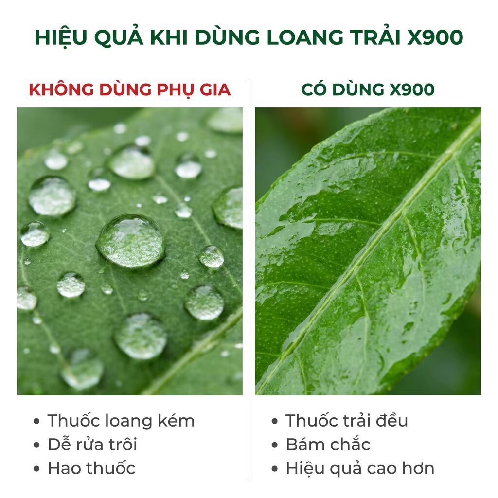 [CHÍNH HÃNG] Loang trải X900SL – hỗ trợ loang trải, bám dính thấm saau, tránh rửa trôi khi phun, bám dính côn trùng,rệp