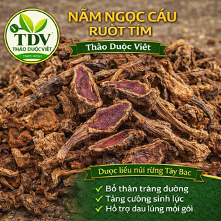 500g Nấm ngọc câu khô ruột tím khô bổ thận tráng dương - Hàng công ty Thảo Dược Việt