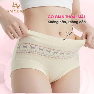 Combo Quần Lót Nữ Cotton In Họa Tiết, Quần Chip Nữ Cạp Vừa Mềm Mịn Không Hằn Cấn AMYBRA L5296