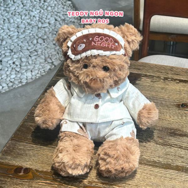 Gấu Bông Teddy Ngủ Cao Cấp Thêu Tên Theo Yêu Cầu, Quà Tặng Người Yêu Kèm Lời Chúc Ngủ Ngon Ý Nghĩa