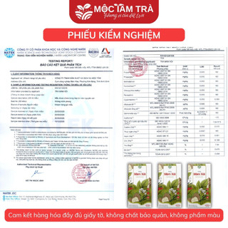 COMBO 3 Trà túi lọc thường Lá mâm xôi rừng Mộc Tâm - Làm đẹp niêm mạc, hỗ trợ thả tự nhiên