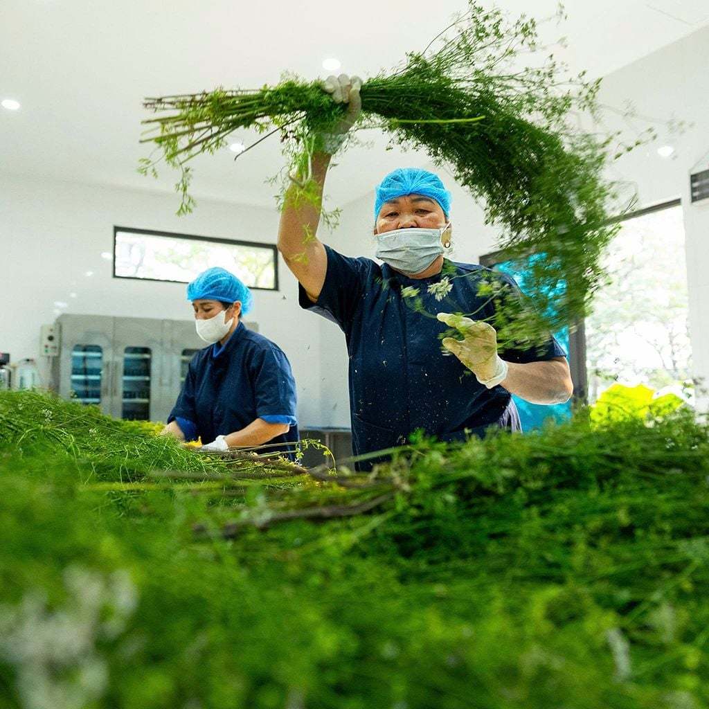 Lá Thơm Karose dùng tắm xông mặt khử mùi 60g