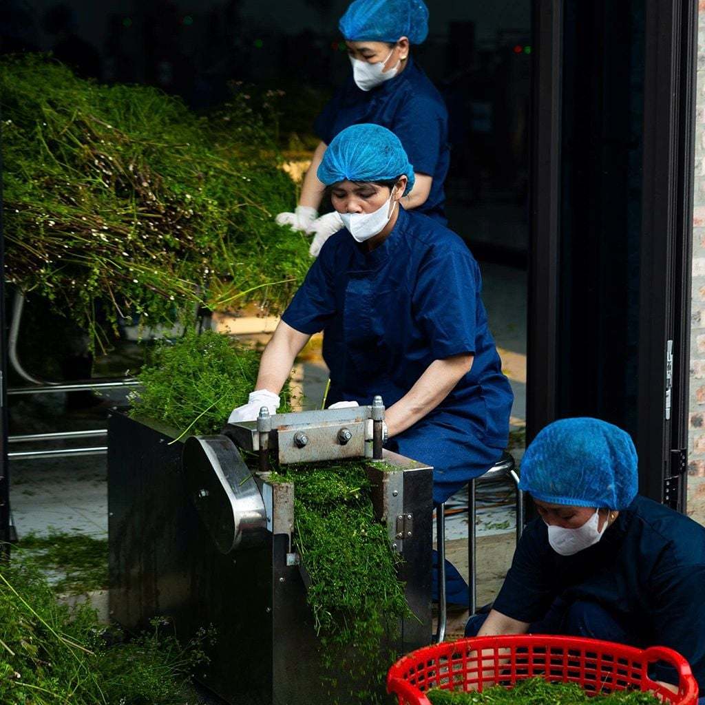 Lá Thơm Karose dùng tắm xông mặt khử mùi 60g