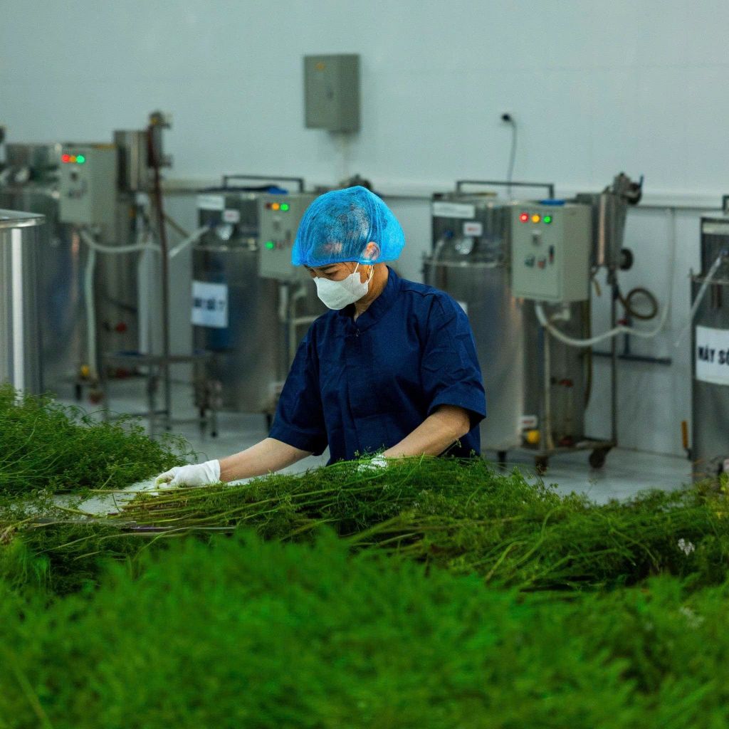 Lá Thơm Karose dùng tắm xông mặt khử mùi 60g